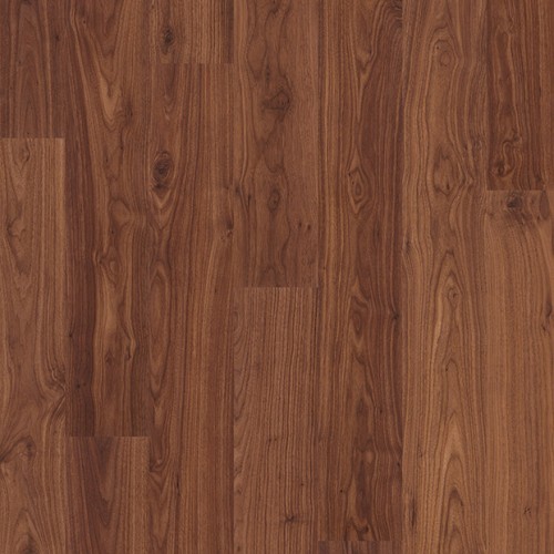 OILED WALNUT